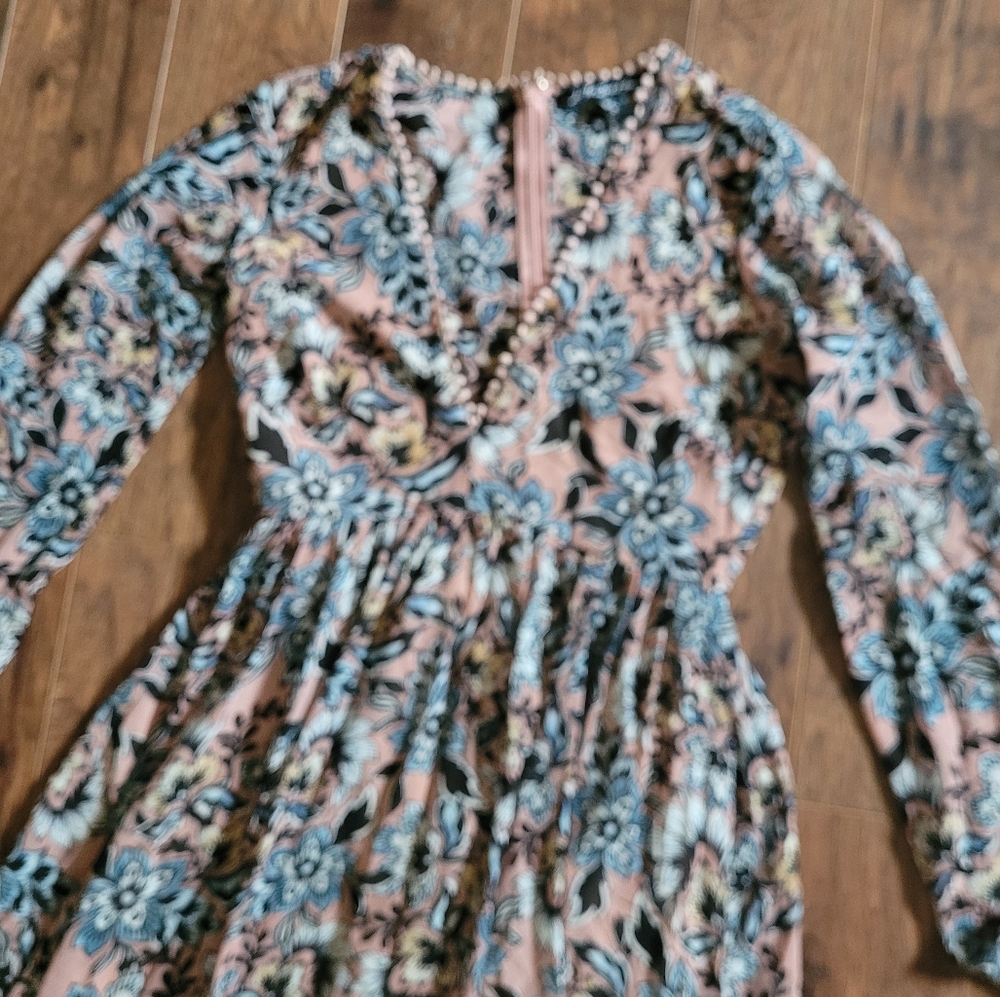 For Love And Lemons Gracie sheer dress - Picture 4 of 12